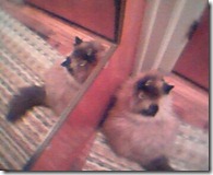 Kayla (age 13) in mirror