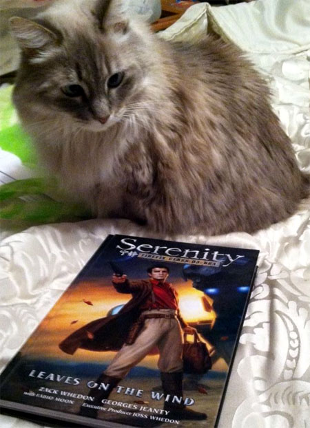 kitty_and_serenity_leaves