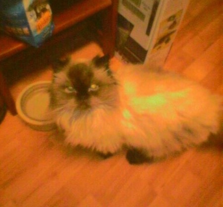 kayla_february_2009_a