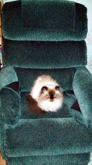 kayla_march_26_2009_recliner