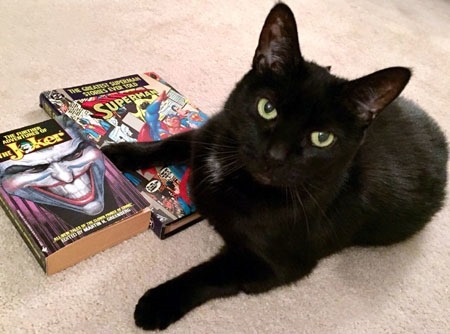 weeklyhaul_07042018f