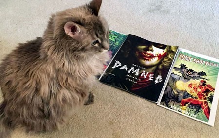 weeklyhaul_12122018b1