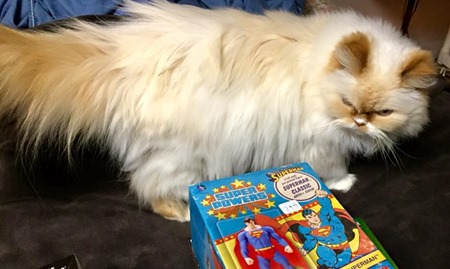 ziggy_super_powers_superman_statue ziggy_super_powers_superman_statue