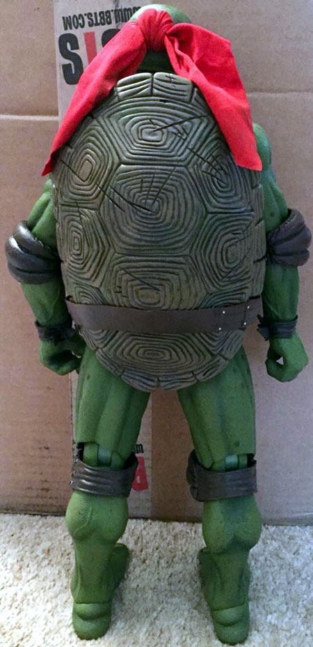 quarter_scale_raph_back