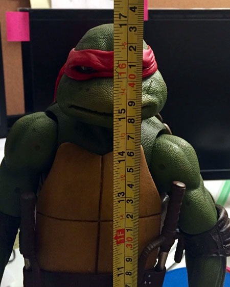 quarter_scale_raph_height