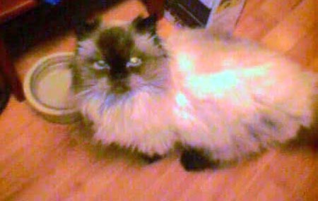 it_was_29_years_ago_today_c