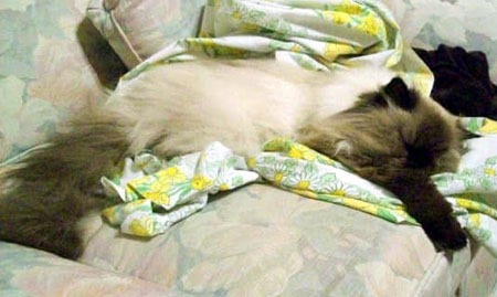 it_was_29_years_ago_today_g