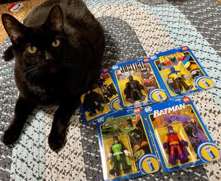 imaginext_batman_singles_sarah